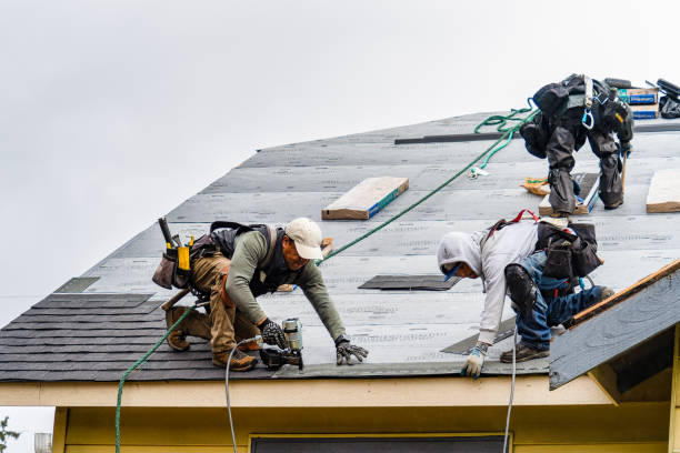 Professional Gutter Installation technician working in Morton, TX